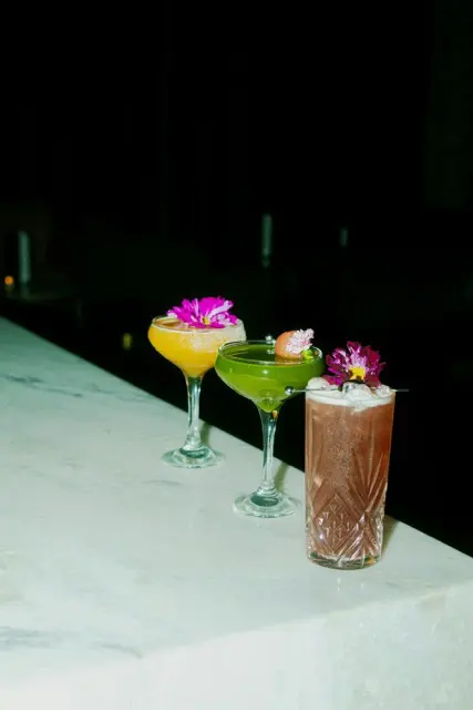 Bachelor cater Medium